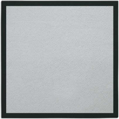 edge rug - item 1019563