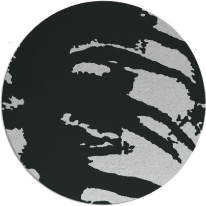 arroyo rug - item 1019876