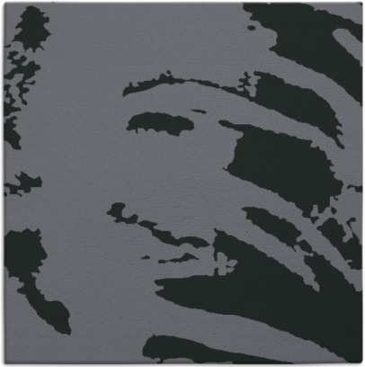 arroyo rug - item 1019881