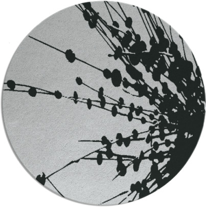 ibis rug - item 1021320