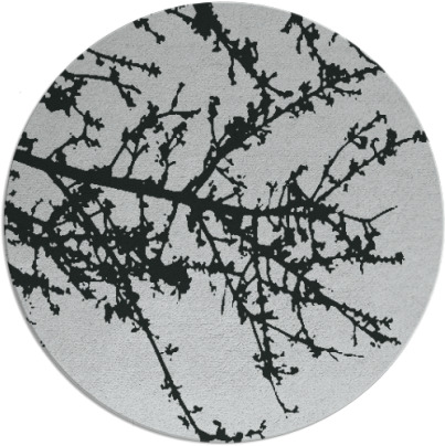 spruce rug - item 1023020