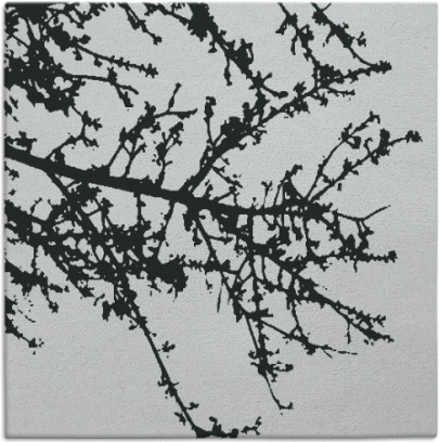 spruce rug - item 1023028