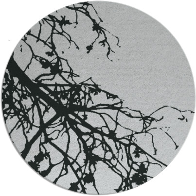 windswept rug - item 1023440