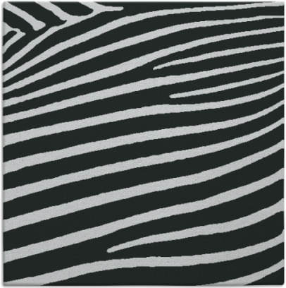 zebra rug - item 1023468