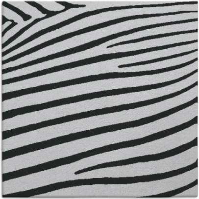 zebra rug - item 1023469