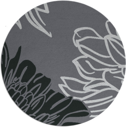 asha rug - item 1023739