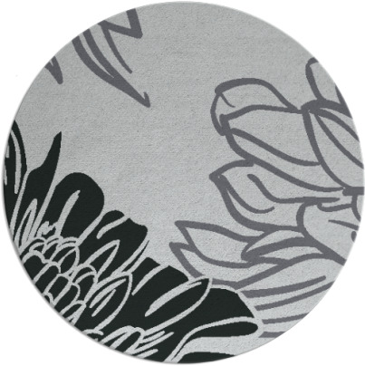 asha rug - item 1023741