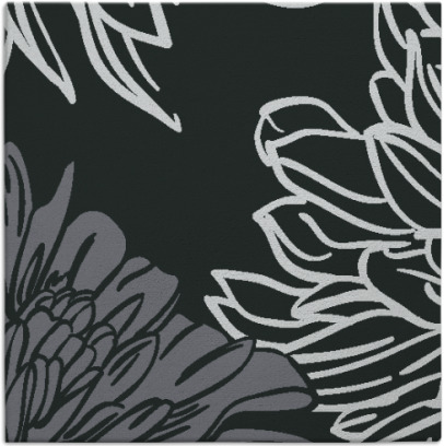 asha rug - item 1023746