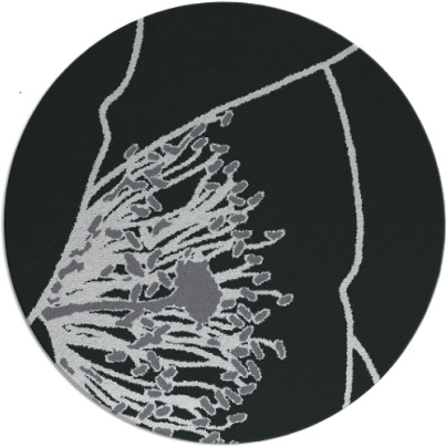 i spy rug - item 1024279