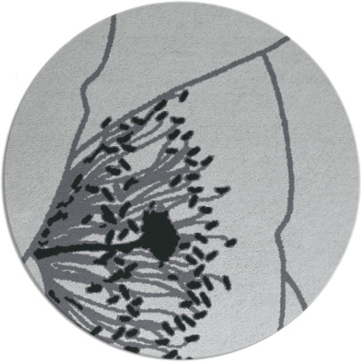 i spy rug - item 1024280