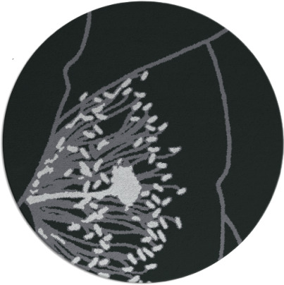 i spy rug - item 1024281