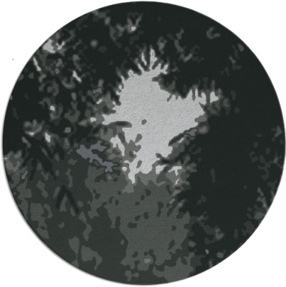 celebration rug - item 1026179