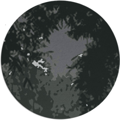 celebration rug - item 1026181