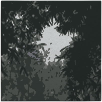 celebration rug - item 1026187