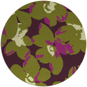 Darken Daisies Rug