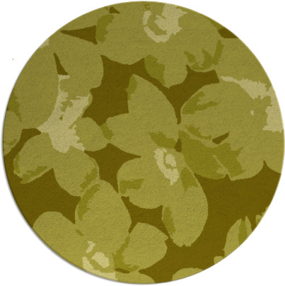 darken daisies rug - item 102921
