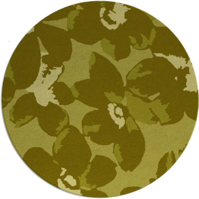 darken daisies rug - item 102922