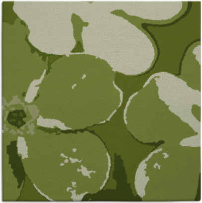 wanderoo rug - item 108710