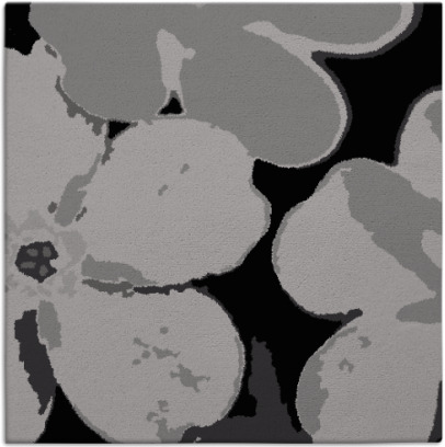 wanderoo rug - item 108757