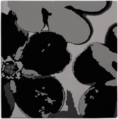 wanderoo rug - item 108758