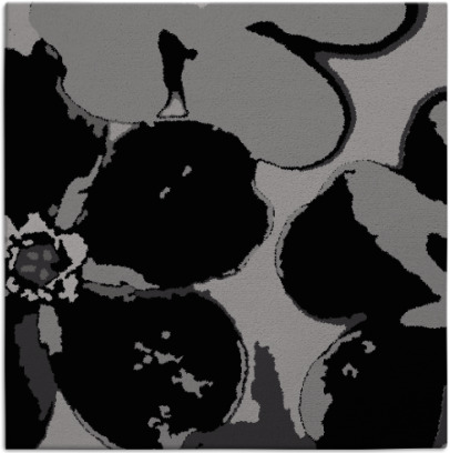 wanderoo rug - item 108760