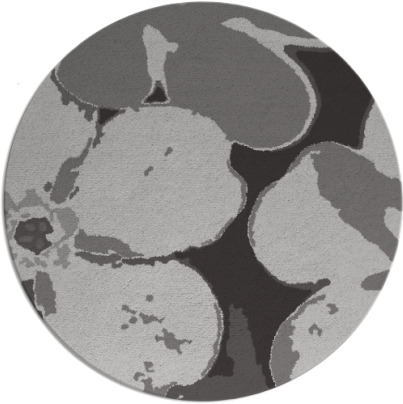 wanderoo rug - item 109685