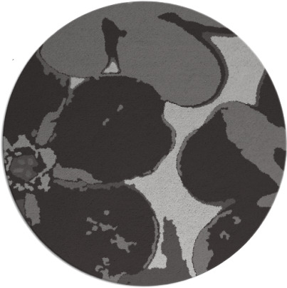 wanderoo rug - item 109686