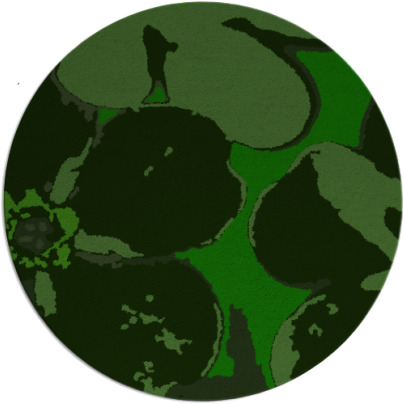 wanderoo rug - item 109710