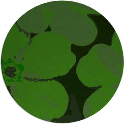 wanderoo rug - item 109711