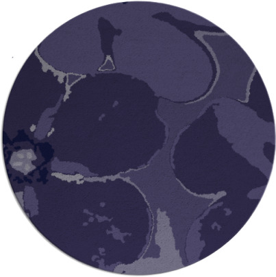 wanderoo rug - item 109727