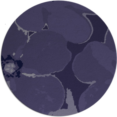 wanderoo rug - item 109728