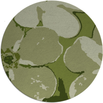 wanderoo rug - item 109767