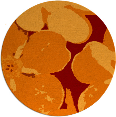 wanderoo rug - item 109829