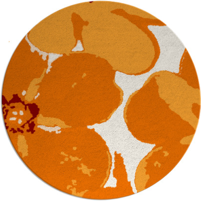 wanderoo rug - item 109833