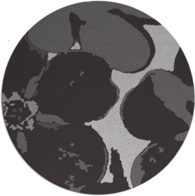 wanderoo rug - item 109841