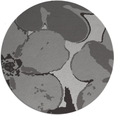 wanderoo rug - item 109843