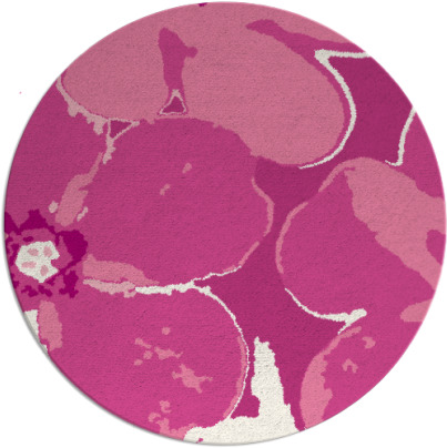 wanderoo rug - item 109852