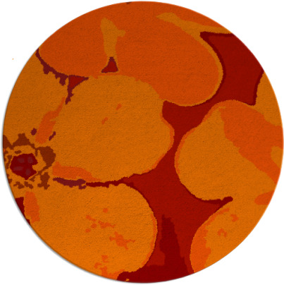 wanderoo rug - item 109886