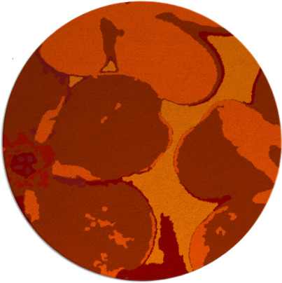 wanderoo rug - item 109887