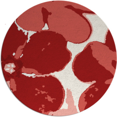 wanderoo rug - item 109889