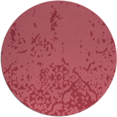 pletheroe rug - item 1113573