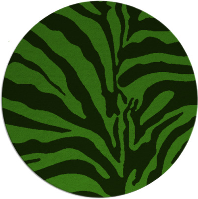 equatorial rug - item 1123523