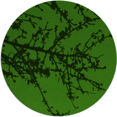 spruce rug - item 1125763