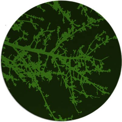 spruce rug - item 1125764