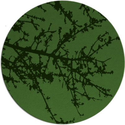 spruce rug - item 1125765