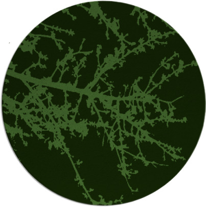 spruce rug - item 1125766