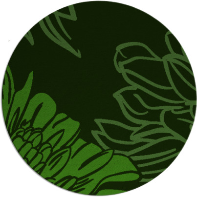 asha rug - item 1126483