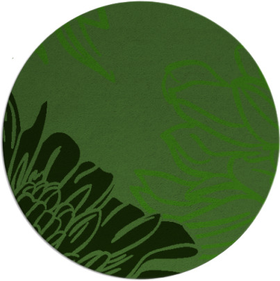 asha rug - item 1126486