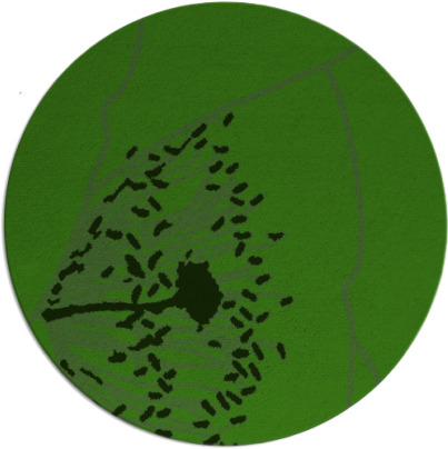 i spy rug - item 1127023