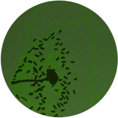 i spy rug - item 1127025